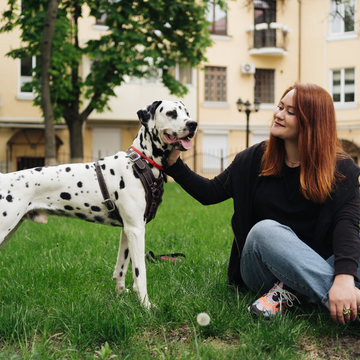 10 ESSENTIAL PET PRODUCTS EVERY PET OWNER SHOULD HAVE