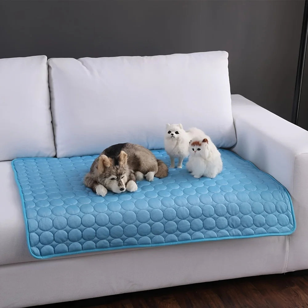 Interactive Laser Cat Toy | Automatic Rotating Laser for Indoor Cats & Kittens