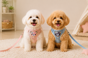 Two dogs sitting on a rug wearing harnesses with bear designs, in a home setting.
