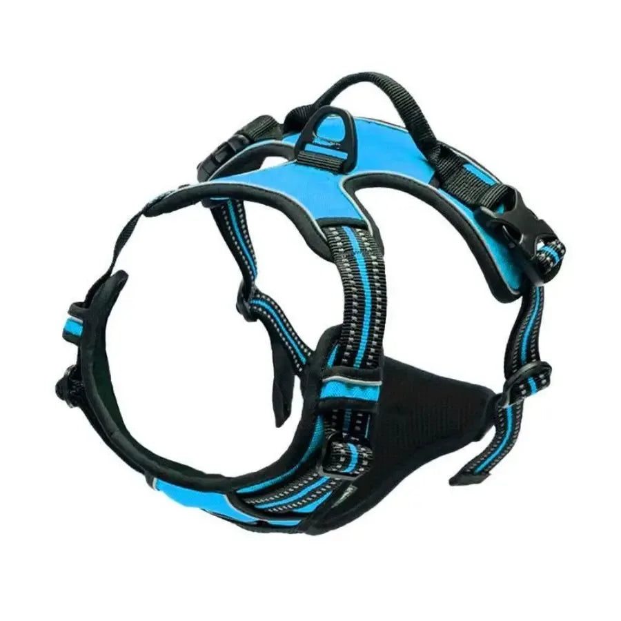 Dog Harness Vest Set with Matching Collar & Leash | Complete Walking Set for Small & Medium Dogs