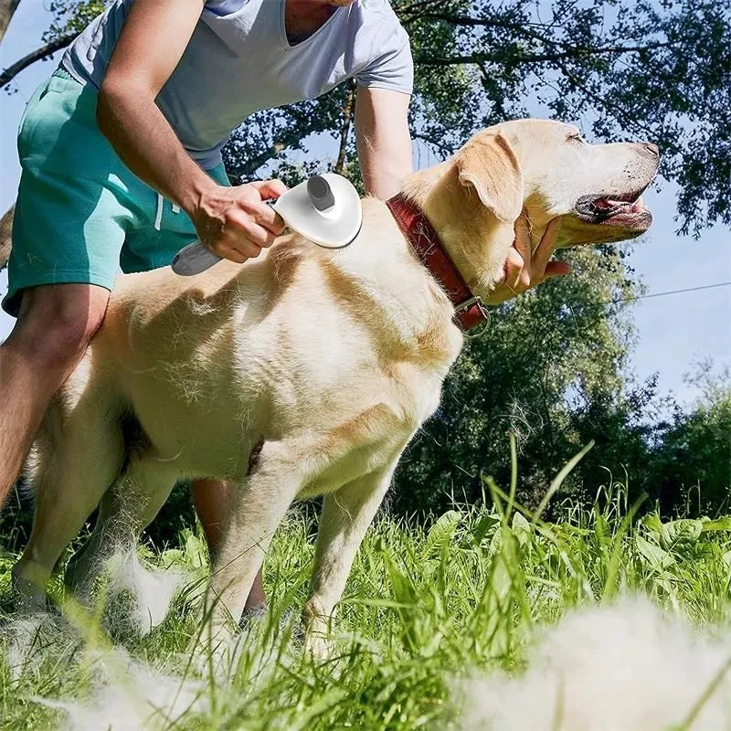 Self-Cleaning Pet Hair Remover Brush | One-Click Fur Release for Dogs & Cats