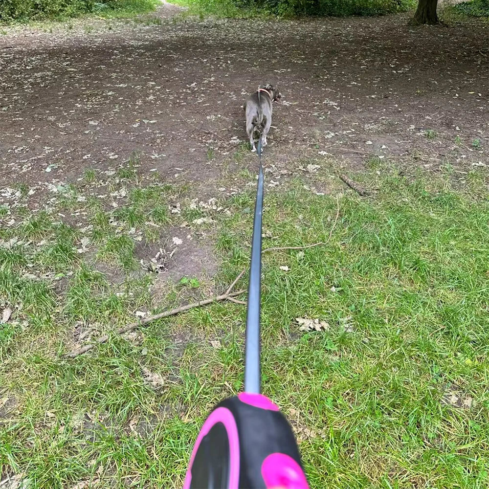 Retractable Pet Leash for Dogs & Cats | Durable Extendable Nylon Leash for All Sizes