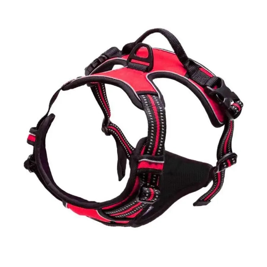 Dog Harness Vest Set with Matching Collar & Leash | Complete Walking Set for Small & Medium Dogs