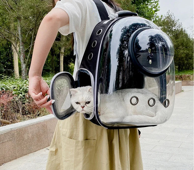 Transparent Bubble Pet Carrier Backpack | Breathable Travel Bag for Cats & Small Pets