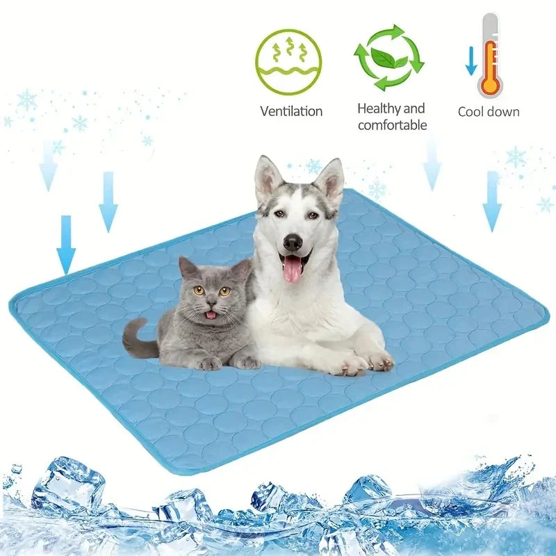 Interactive Laser Cat Toy | Automatic Rotating Laser for Indoor Cats & Kittens