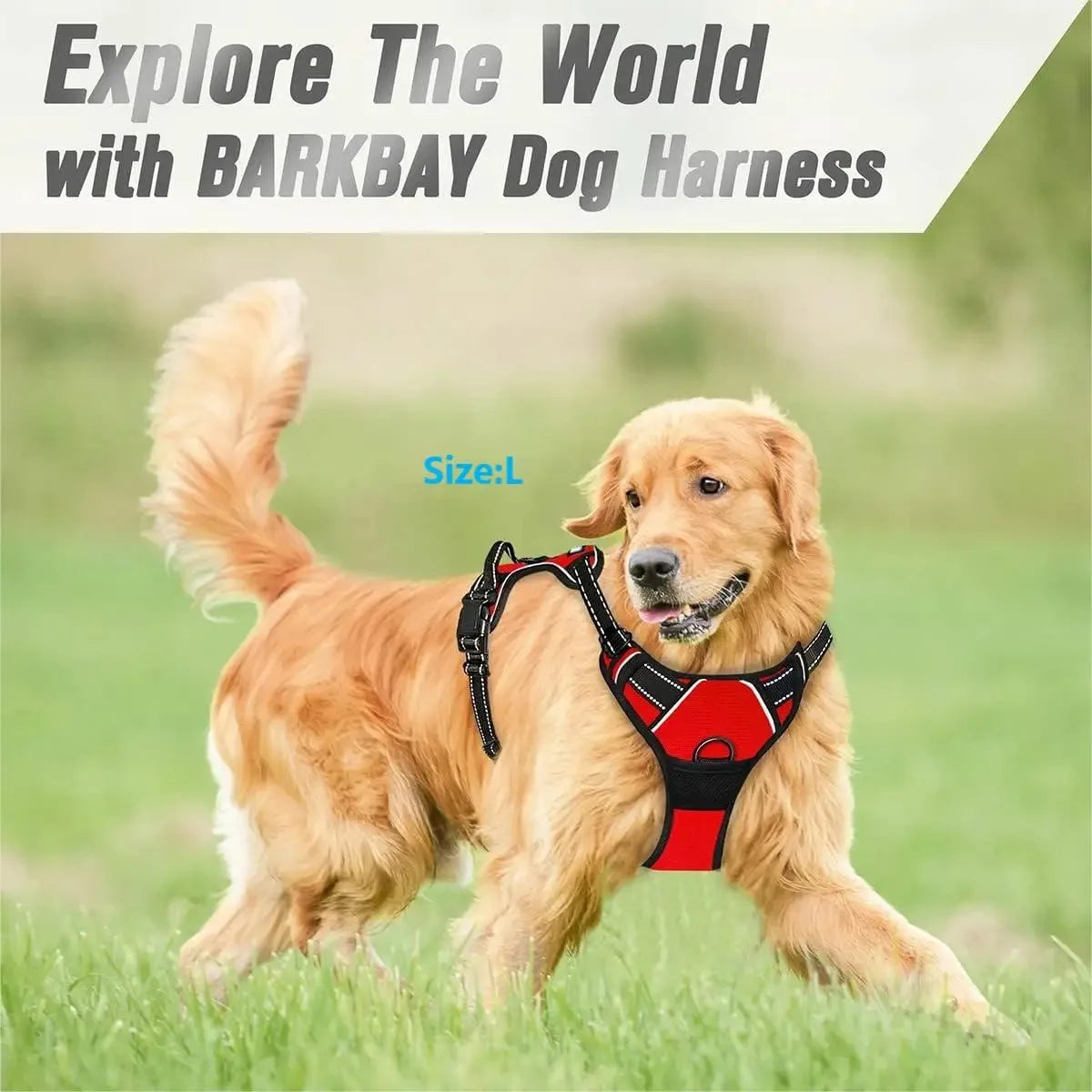 Dog Harness Vest Set with Matching Collar & Leash | Complete Walking Set for Small & Medium Dogs