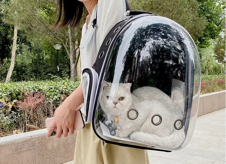 Transparent Bubble Pet Carrier Backpack | Breathable Travel Bag for Cats & Small Pets