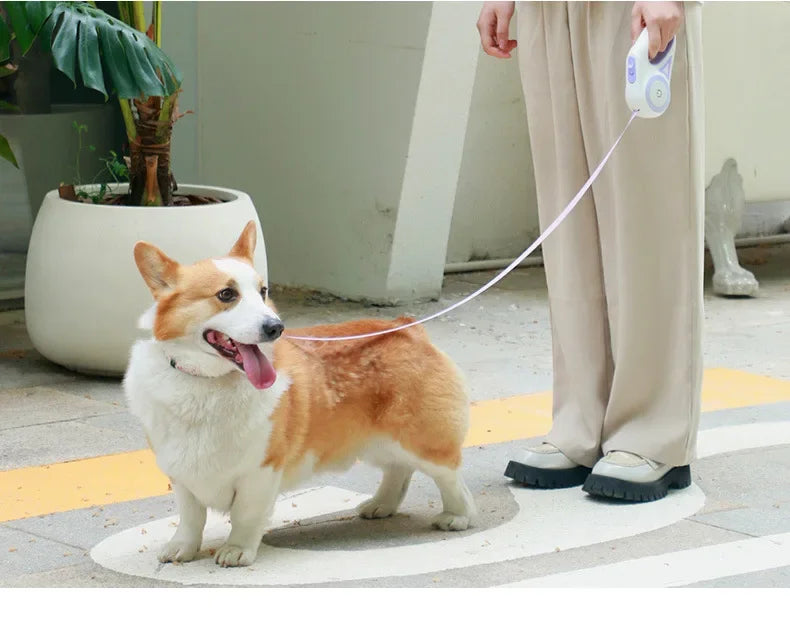 LED Retractable Dog Leash with Built-In Safety Light | Night Walk Leash for Dogs & Cats