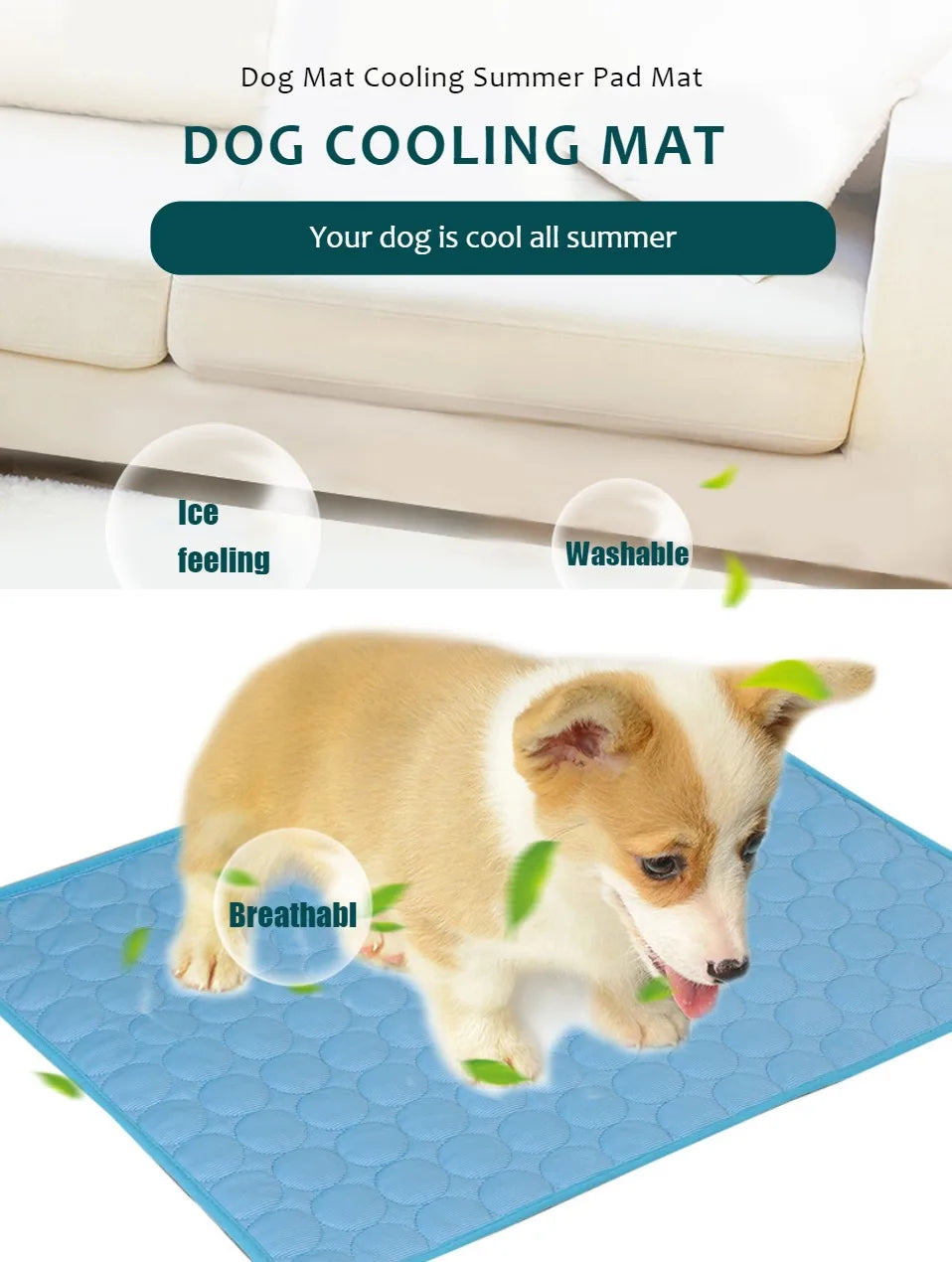 Interactive Laser Cat Toy | Automatic Rotating Laser for Indoor Cats & Kittens