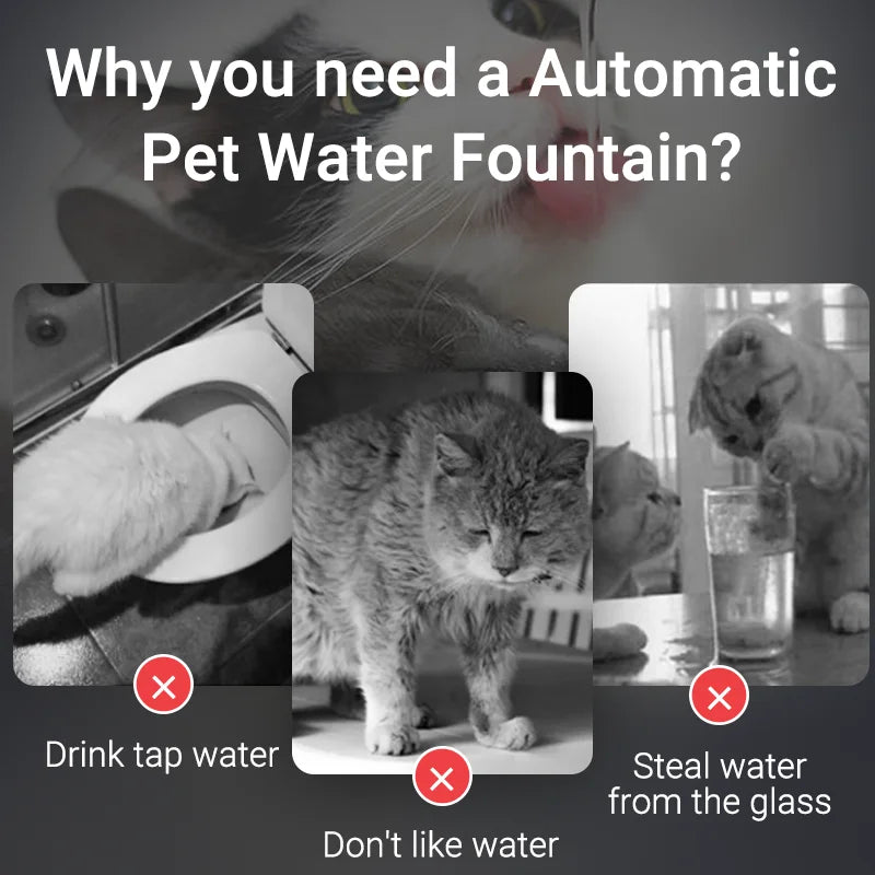 Smart Automatic Pet Water Fountain with Filter System | Dual-Mode Drinking Fountain for Cats & Dogs