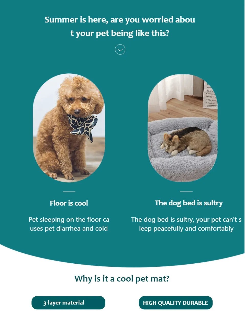 Interactive Laser Cat Toy | Automatic Rotating Laser for Indoor Cats & Kittens