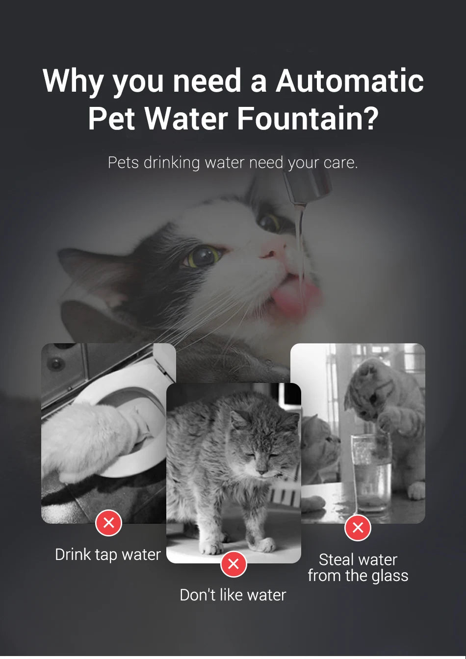 Smart Automatic Pet Water Fountain with Filter System | Dual-Mode Drinking Fountain for Cats & Dogs