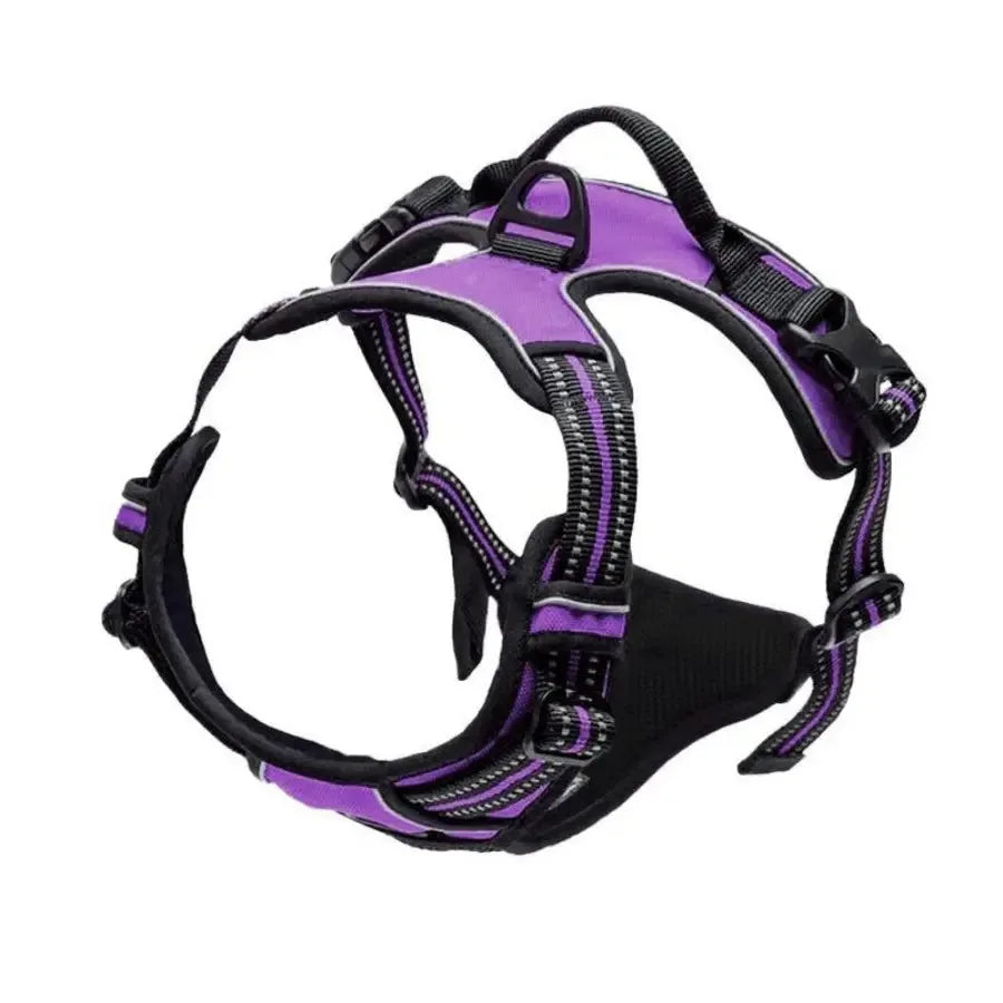 Dog Harness Vest Set with Matching Collar & Leash | Complete Walking Set for Small & Medium Dogs