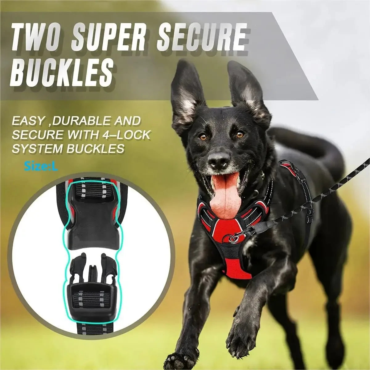 Dog Harness Vest Set with Matching Collar & Leash | Complete Walking Set for Small & Medium Dogs
