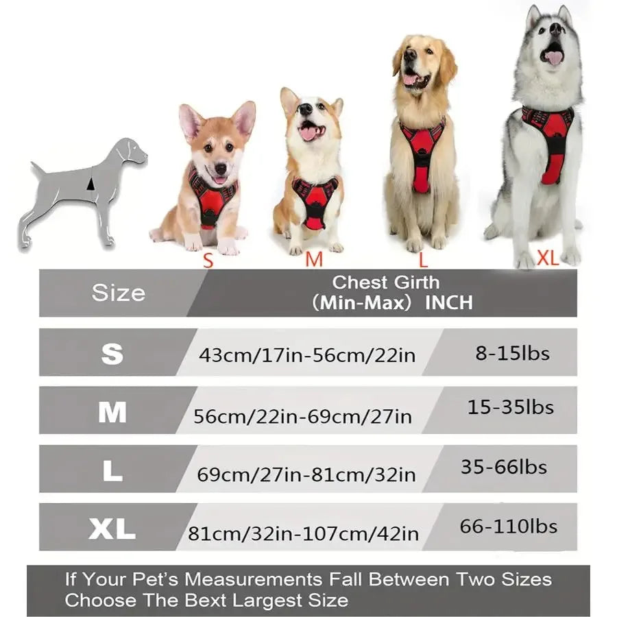 Dog Harness Vest Set with Matching Collar & Leash | Complete Walking Set for Small & Medium Dogs