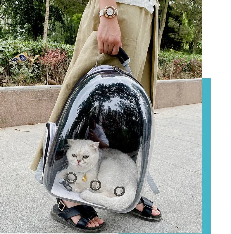 Transparent Bubble Pet Carrier Backpack | Breathable Travel Bag for Cats & Small Pets
