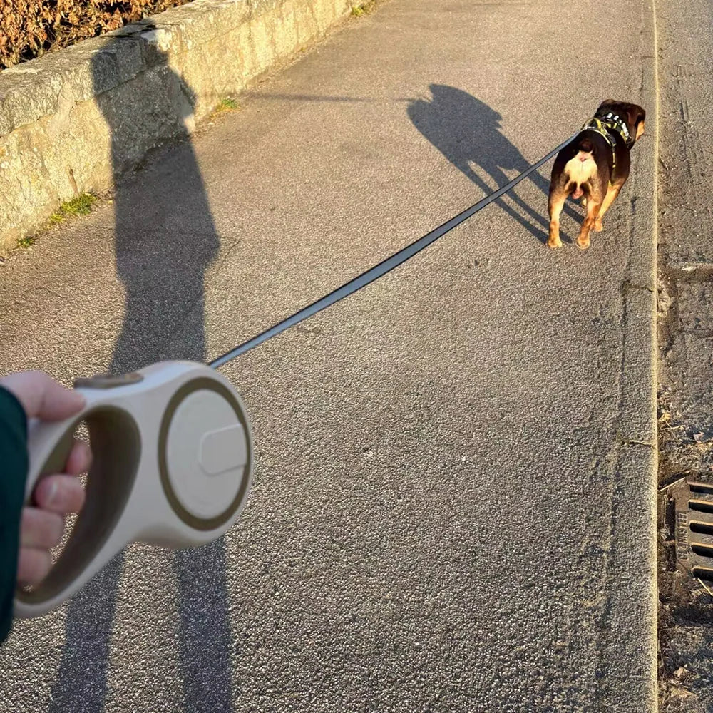 Retractable Pet Leash for Dogs & Cats | Durable Extendable Nylon Leash for All Sizes