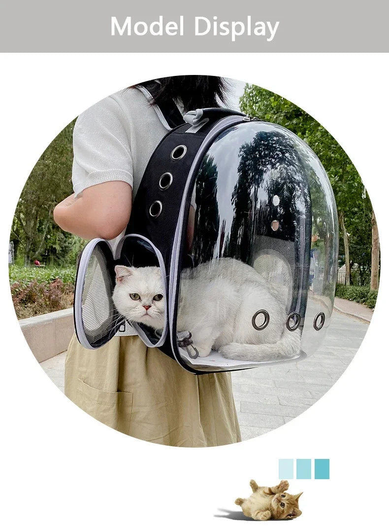 Transparent Bubble Pet Carrier Backpack | Breathable Travel Bag for Cats & Small Pets