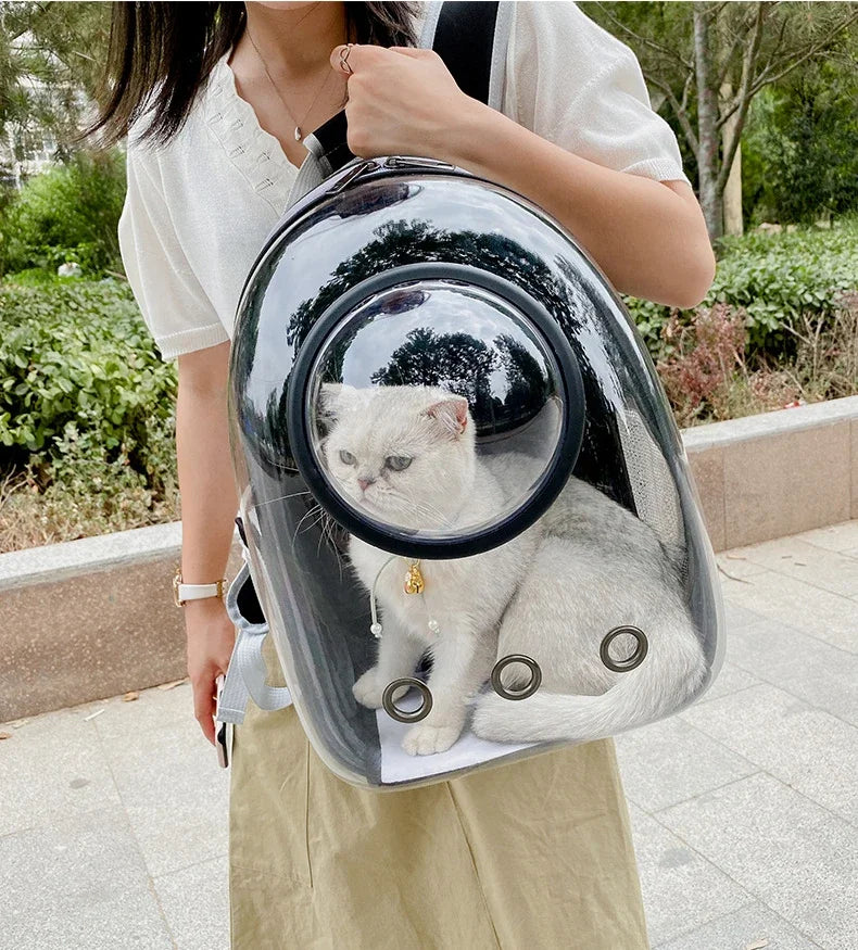 Transparent Bubble Pet Carrier Backpack | Breathable Travel Bag for Cats & Small Pets