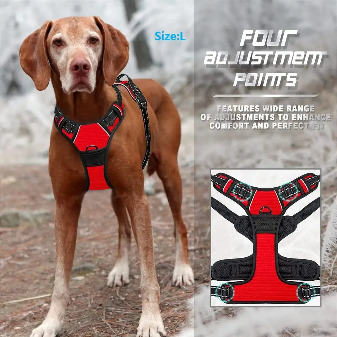 Dog Harness Vest Set with Matching Collar & Leash | Complete Walking Set for Small & Medium Dogs