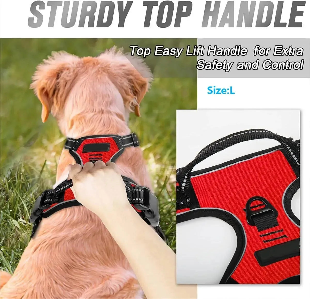 Dog Harness Vest Set with Matching Collar & Leash | Complete Walking Set for Small & Medium Dogs