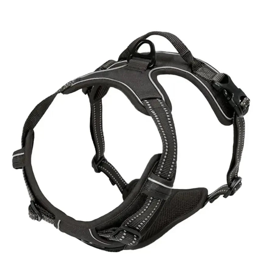 Dog Harness Vest Set with Matching Collar & Leash | Complete Walking Set for Small & Medium Dogs