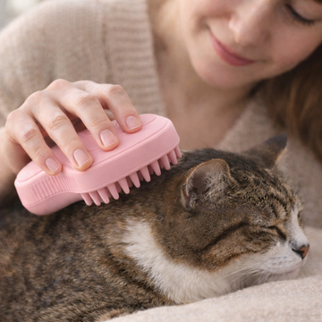 Person grooming a cat with a pink brush